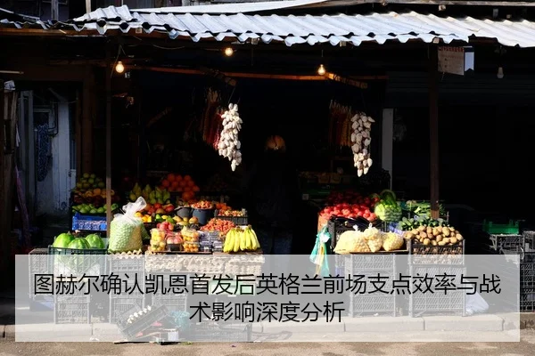 tu-he-er-que-ren-kai-en-shou-fa-hou-ying-ge-lan-qian-chang-zhi-dian-xiao-lv-yu-zhan-shu-ying-xiang-shen-du-fen-xi-2-427.jpg